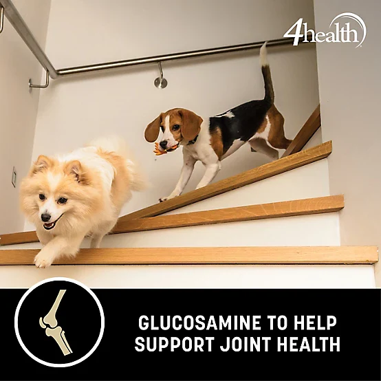 4health Strive All Life Stages Endurance 90 Formula Dry Dog Food, 45 lb. Bag - Image 6