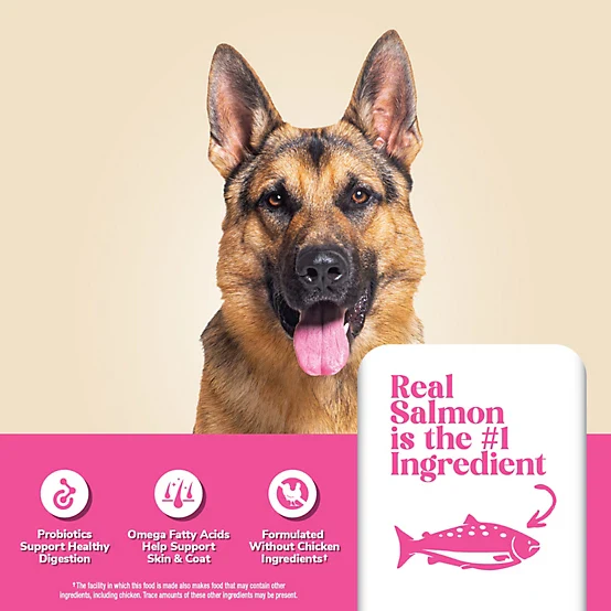4health with Wholesome Grains All Life Stages Sensitive Skin/Stomach Salmon/Rice Formula Dry Dog Food - Image 5