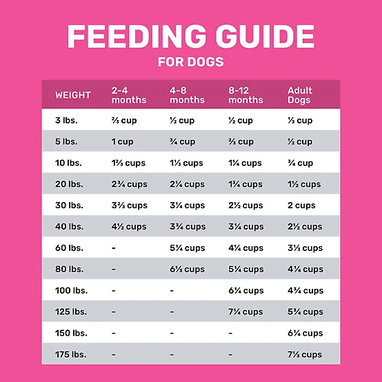 4health with Wholesome Grains All Life Stages Sensitive Skin/Stomach Salmon/Rice Formula Dry Dog Food - Image 7