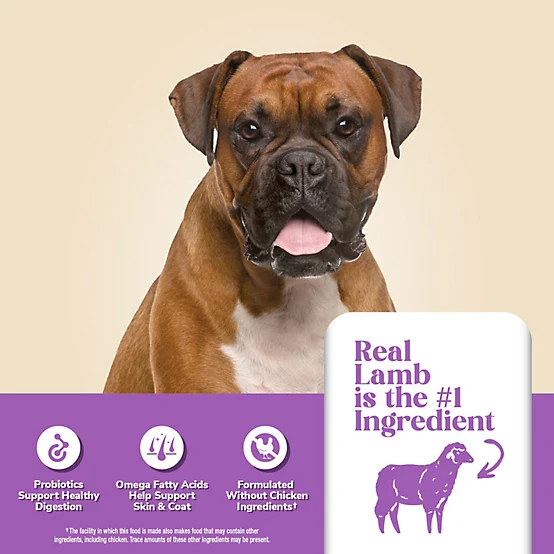 4health with Wholesome Grains Sensitive Skin and Stomach Lamb and Rice Formula Dry Dog Food - Image 5