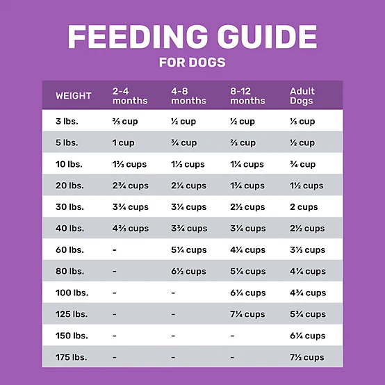 4health with Wholesome Grains Sensitive Skin and Stomach Lamb and Rice Formula Dry Dog Food - Image 7