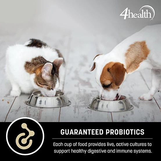 4health with Wholesome Grains Small Bites Formula Adult Dry Dog Food - Image 6