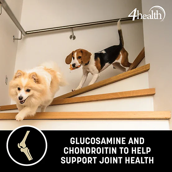 4health with Wholesome Grains Small Bites Formula Adult Dry Dog Food - Image 7