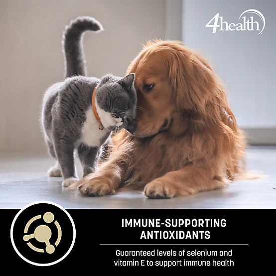 4health with Wholesome Grains Small Bites Formula Adult Dry Dog Food - Image 9