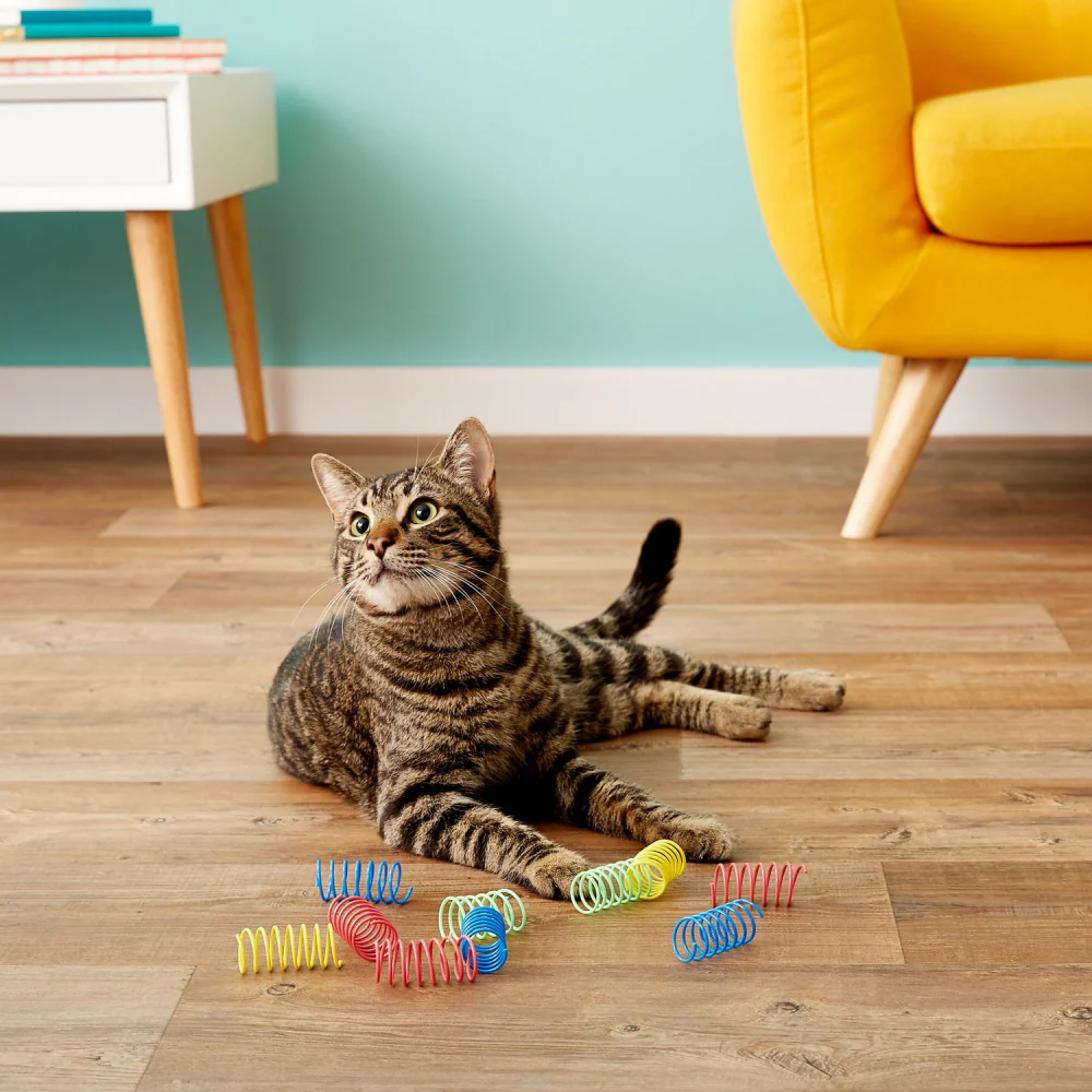 Ethical Pet Colorful Springs Wide Cat Toy - Image 5