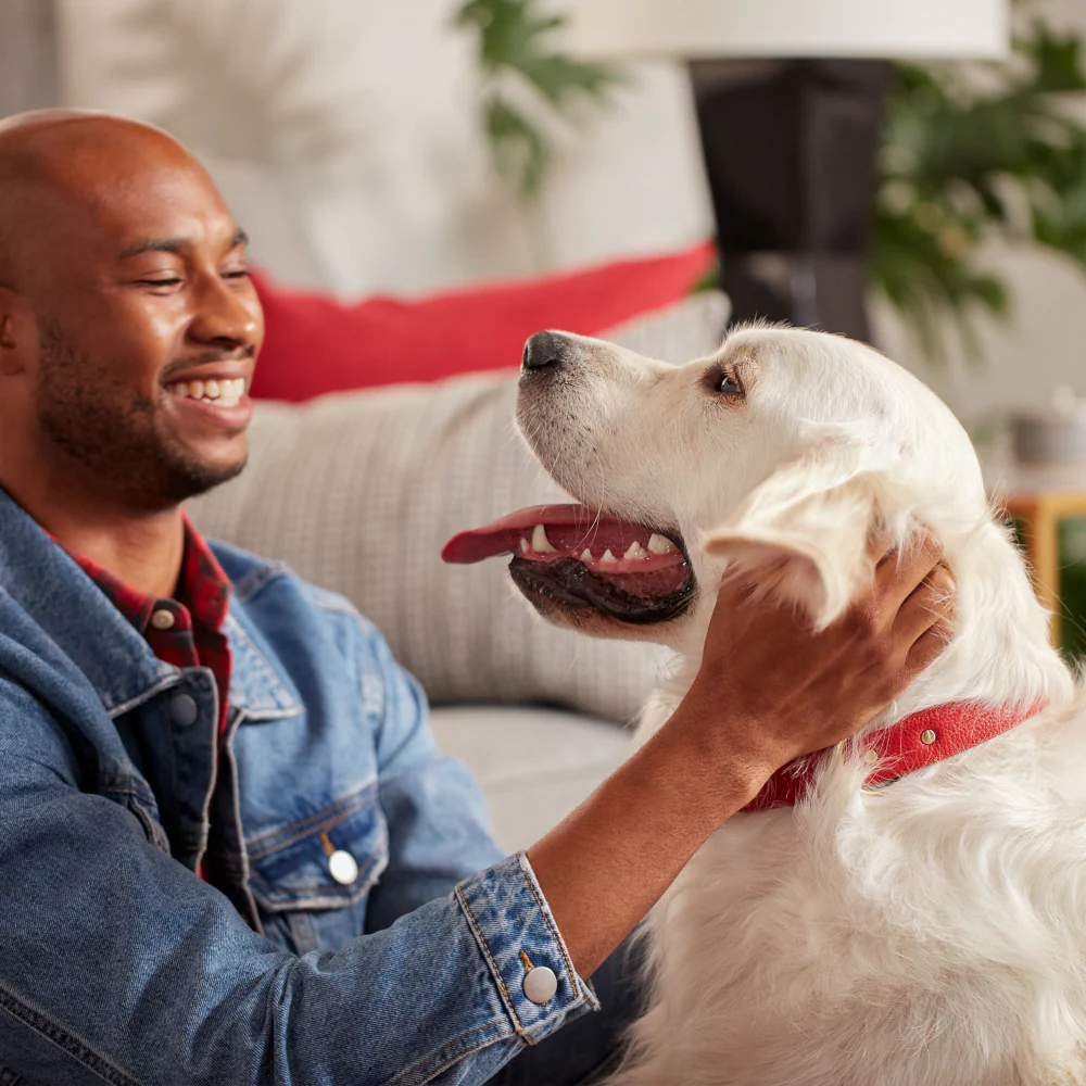 Milk-Bone Original Large Dog Biscuits - Image 6