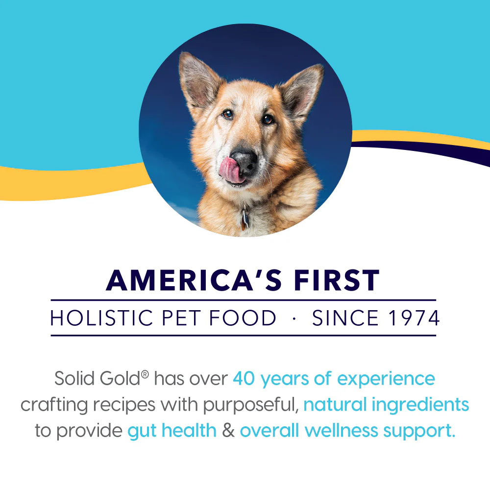 Solid Gold Bone Broth Beef for Dogs - Image 5