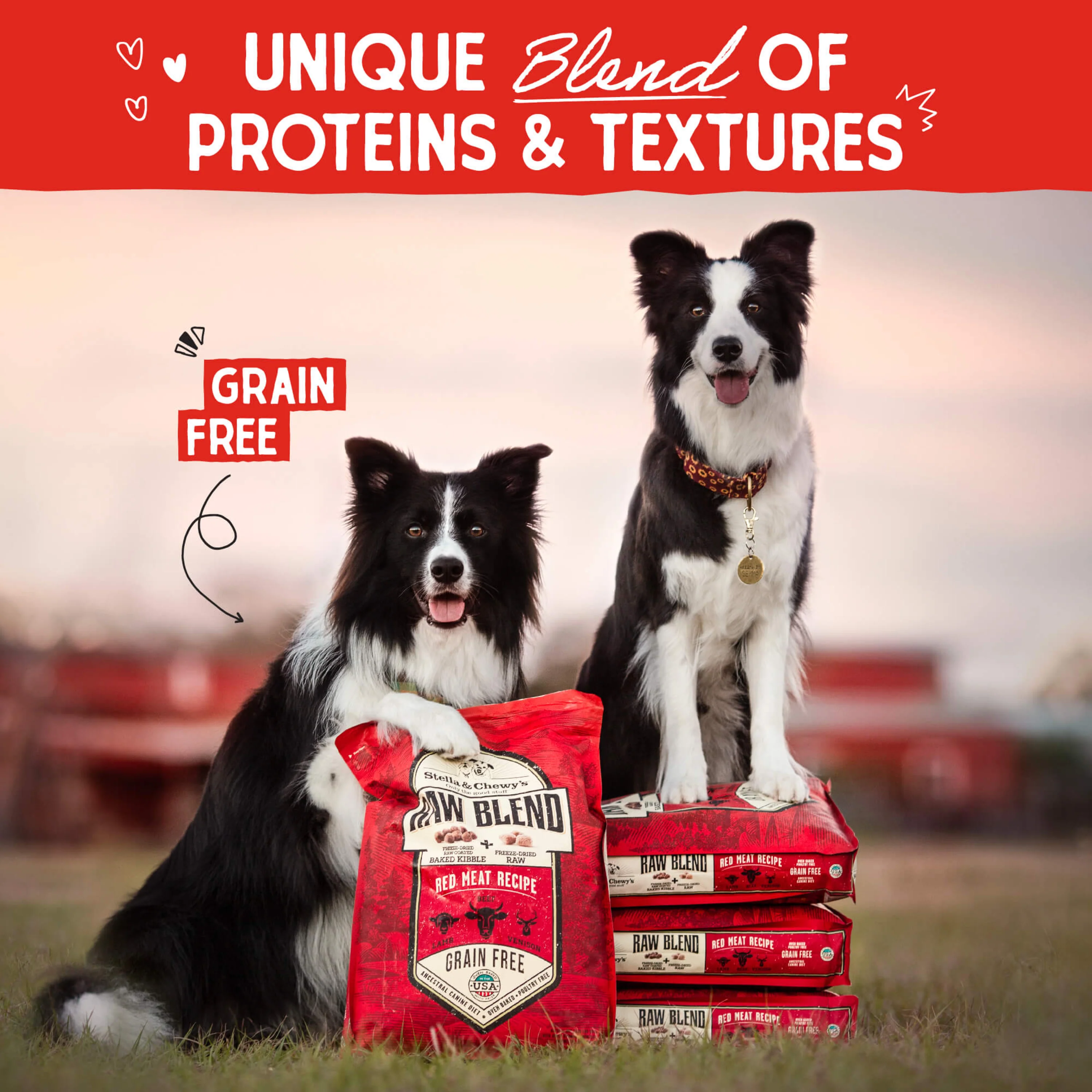 Stella & Chewy's Baked Kibble for Dogs - Raw Blend Red Meat Recipe for Small Breeds - 3.5 lb. Bag - Image 7