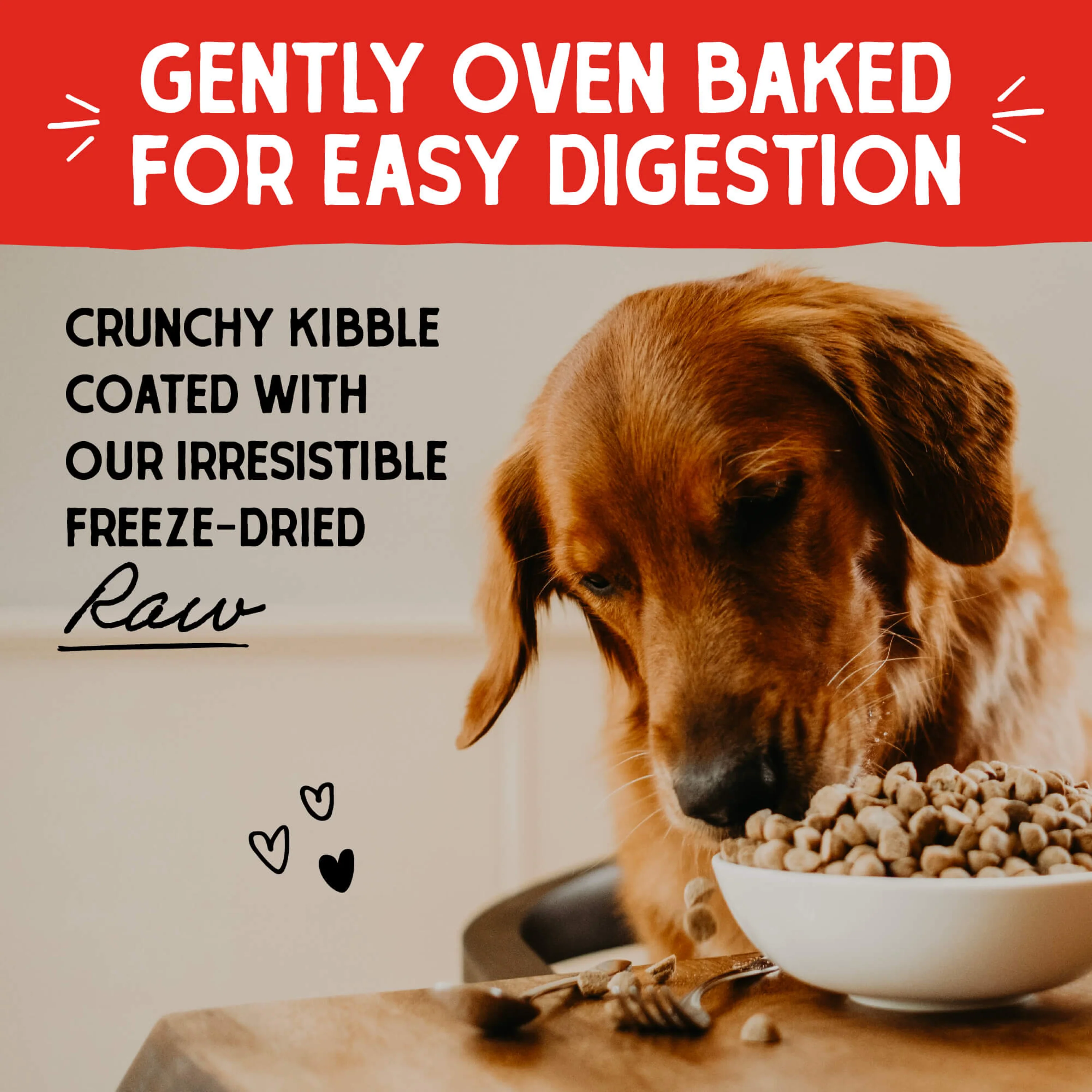 Stella & Chewy's Baked Kibble for Dogs - Raw Coated Cage-Free Chicken Recipe - 3.5 lb. Bag - Image 5