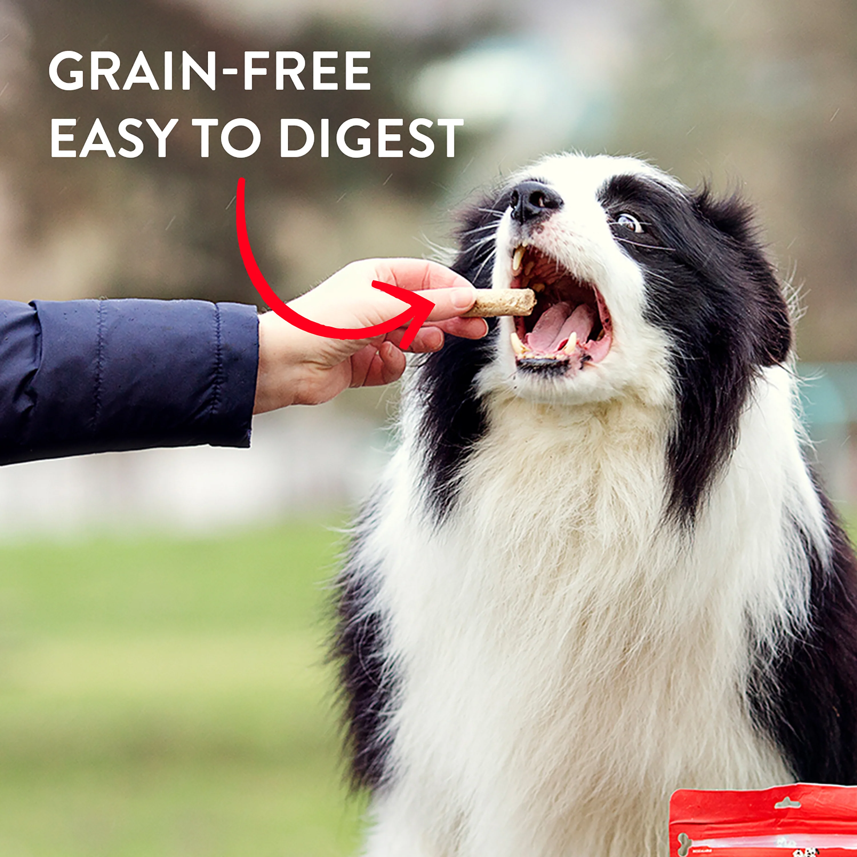 Stella & Chewy's Treats for Dogs - Wild Weenies Bac'n Me Crazy Recipe - 3 oz. Bag - Image 6