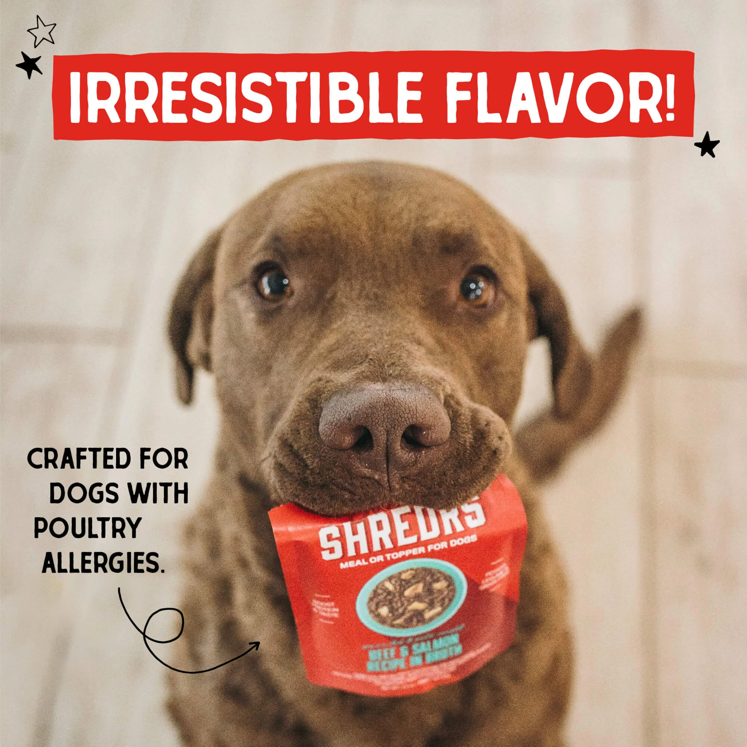 Stella's Shredrs Grass Fed Beef & Wild Caught Salmon Recipe in Broth for Dogs - 2.8 oz Pouch - Image 3